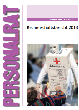 Rechenschaftsbericht 2013