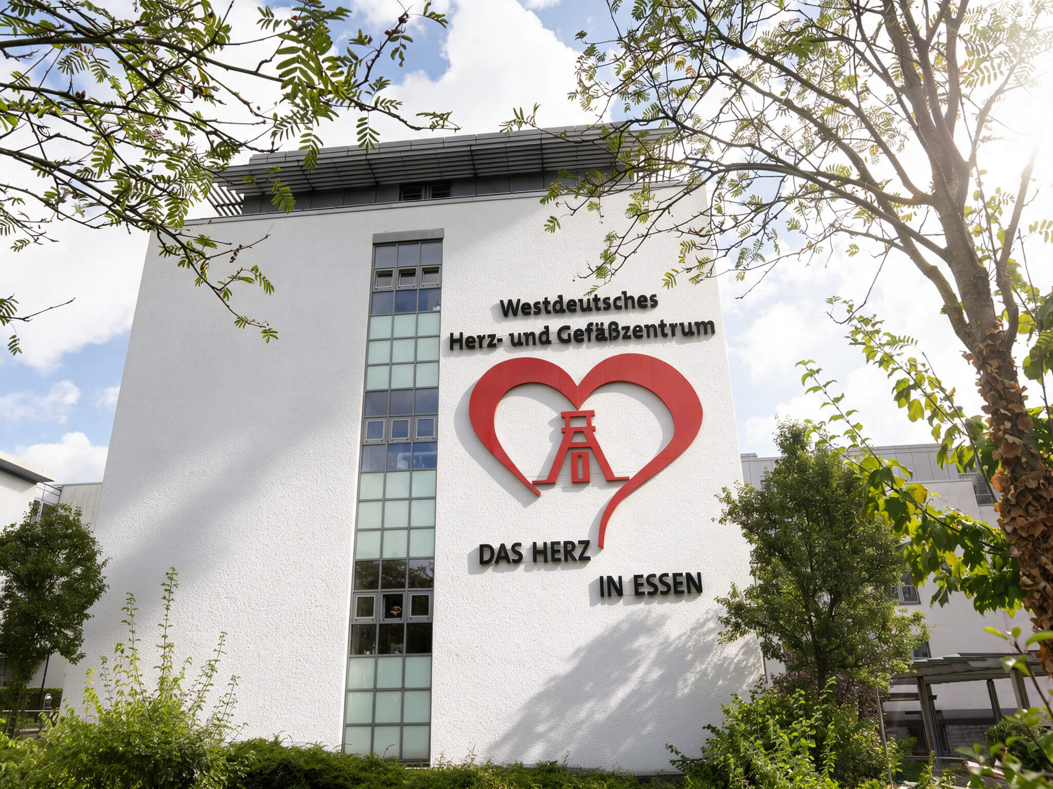Informationsveranstaltung und B&uuml;rgerdialog &bdquo;Von der Pr&auml;vention bis zur Transplantation - Perspektiven der Herzmedizin von morgen&ldquo; - Titelbild